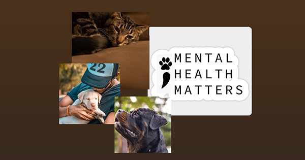 Pet Mental Health Awareness: Signs, Strategies, and Success