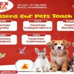 10 Life Lessons We Can Learn from Our Pets: A Special Tribute on Teacher’s Day