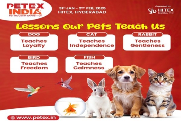 10 Life Lessons We Can Learn from Our Pets: A Special Tribute on Teacher’s Day